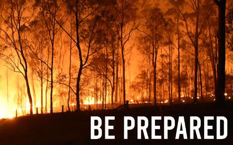 Preparing Trees For Bushfire Season